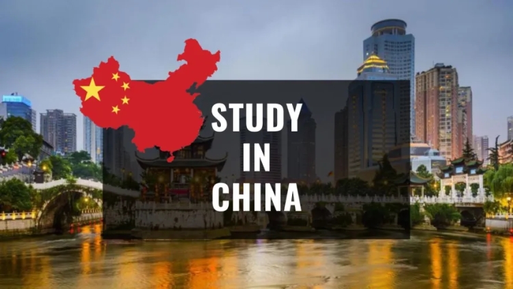 What Fields Are Most Popular for Graduate Studies in China?